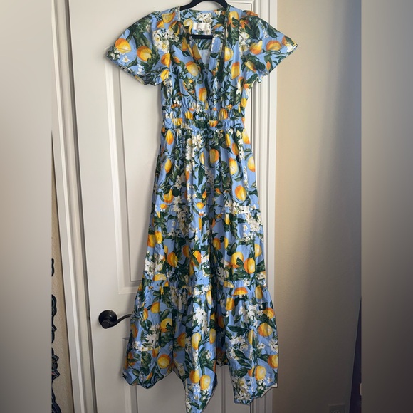 Anthropologie Somerset Tiered Maxi Dress in Iris Blue with Lemons - Size XS‎ - Picture 2 of 11